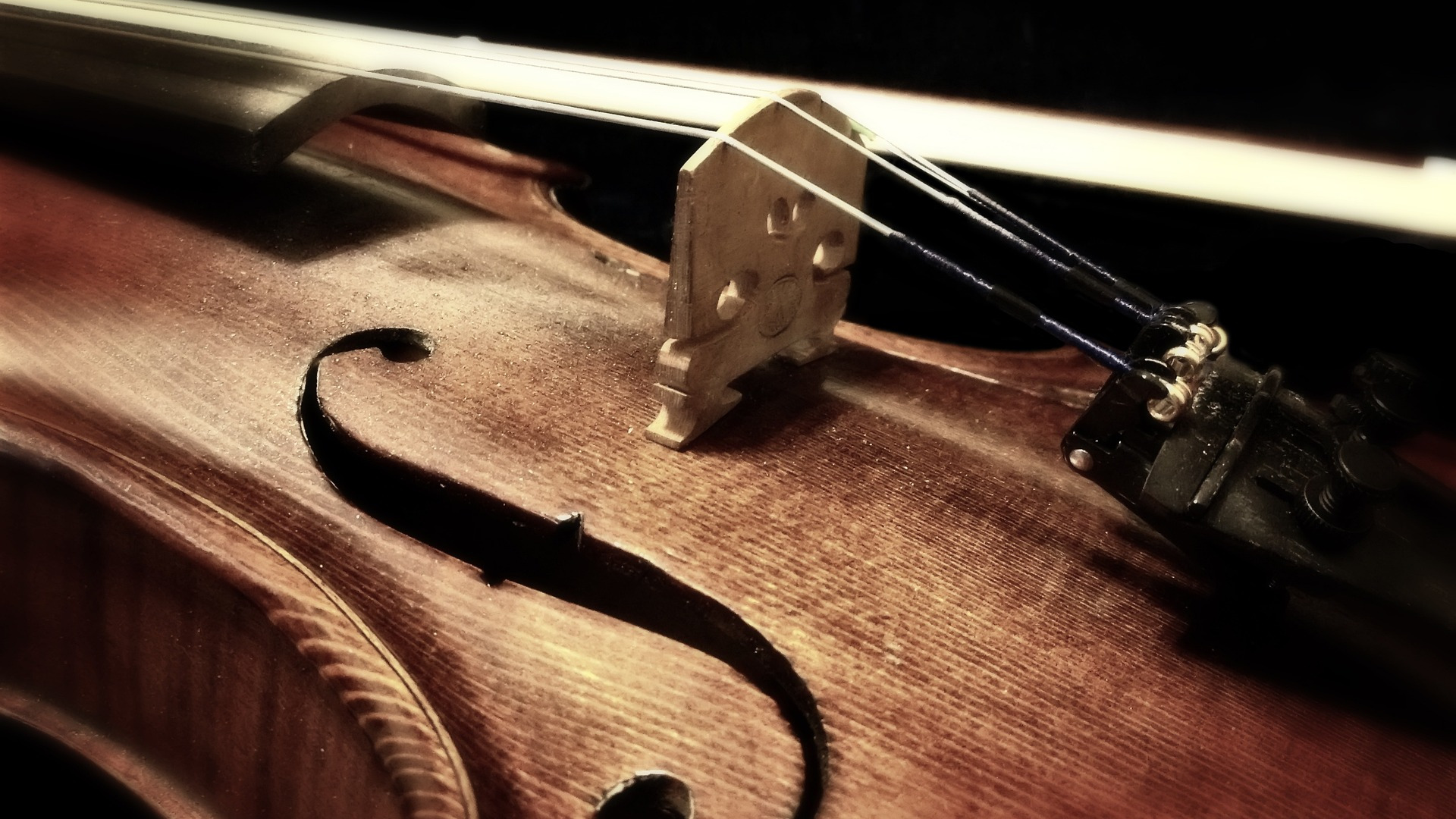 Music Live Musikschule Violine Unterricht